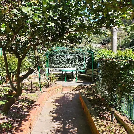 Baisi Flexyrent * ראפאלו